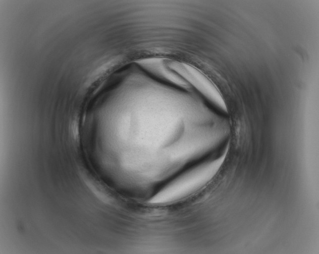 X0000113540398200910091247