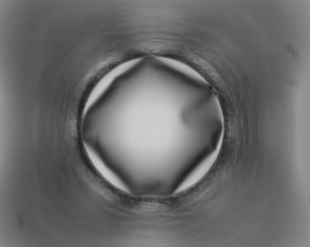 X0000113540399200910091247