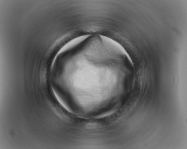 X0000113540400200910091247