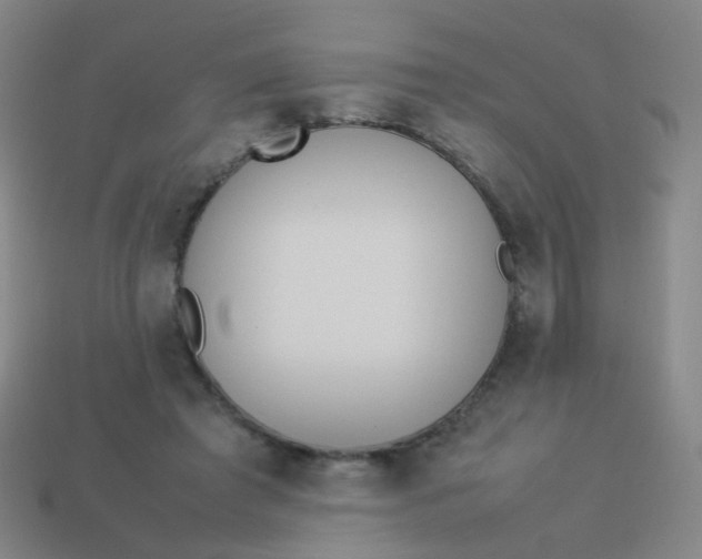 X0000113540401200910091247