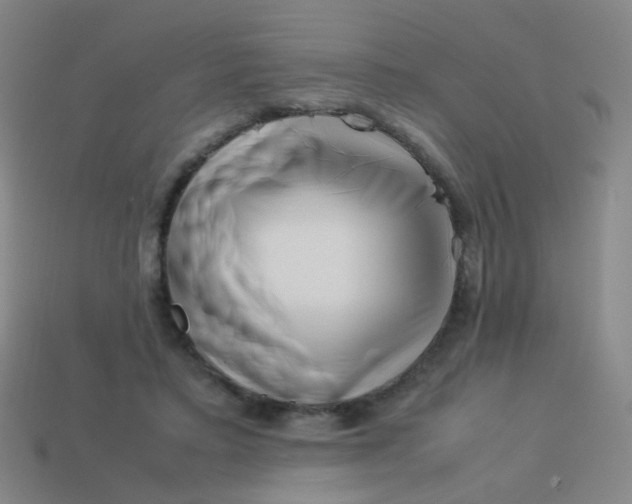 X0000113540403200910091247