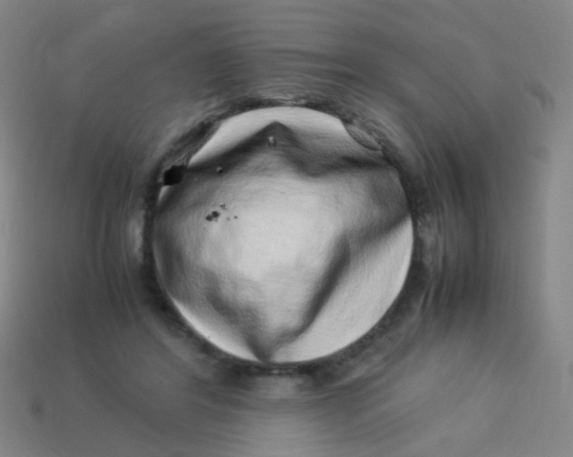 X0000113540404200910091247
