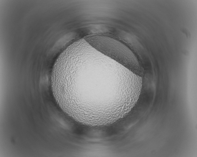 X0000113540405200910091247