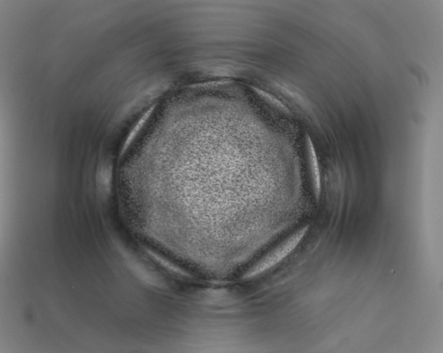 X0000113540406200910091247