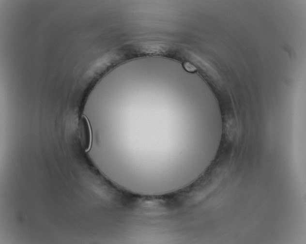 X0000113540407200910091247