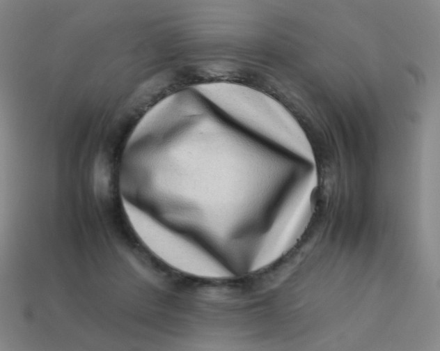 X0000113540408200910091247