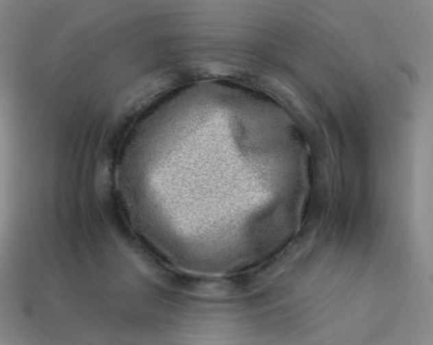X0000113540410200910091247