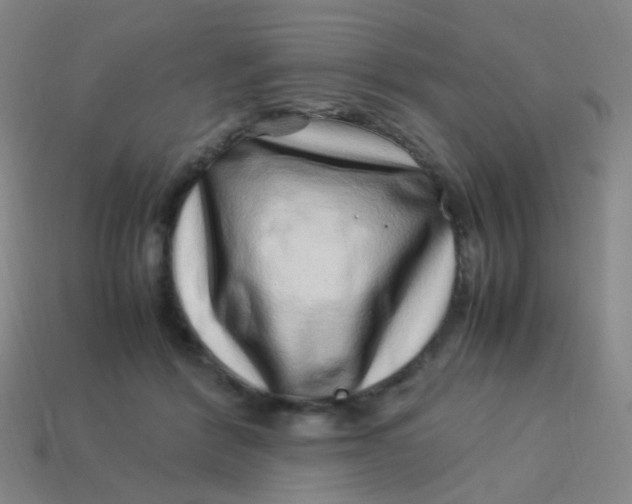 X0000113540412200910091247