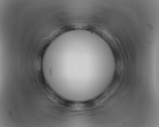X0000113540413200910091247
