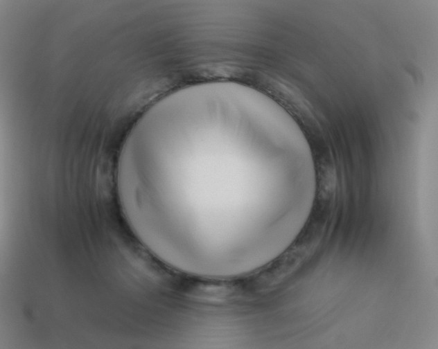 X0000113540414200910091247