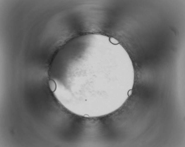 X0000113540415200910091247
