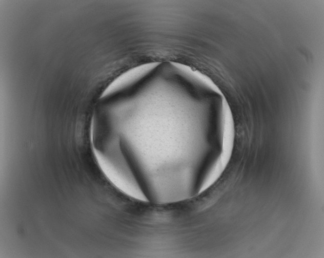 X0000113540416200910091247