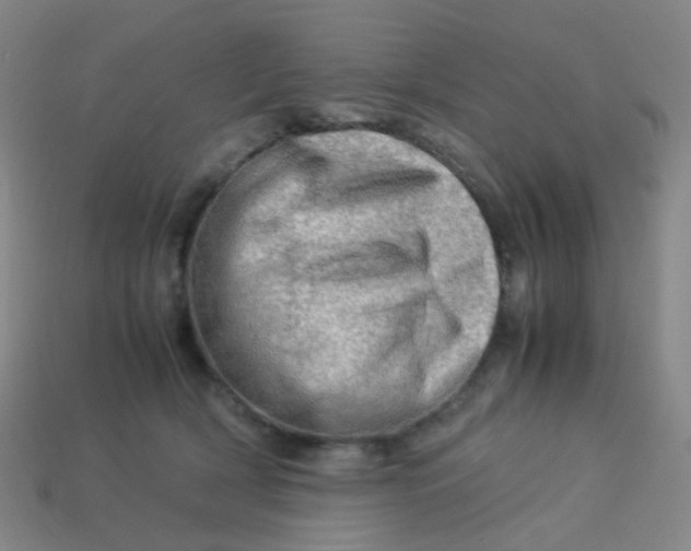 X0000113540418200910091247