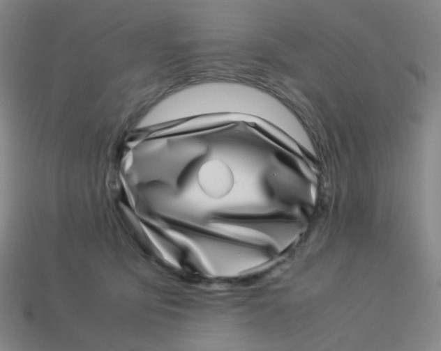 X0000113540419200910091247