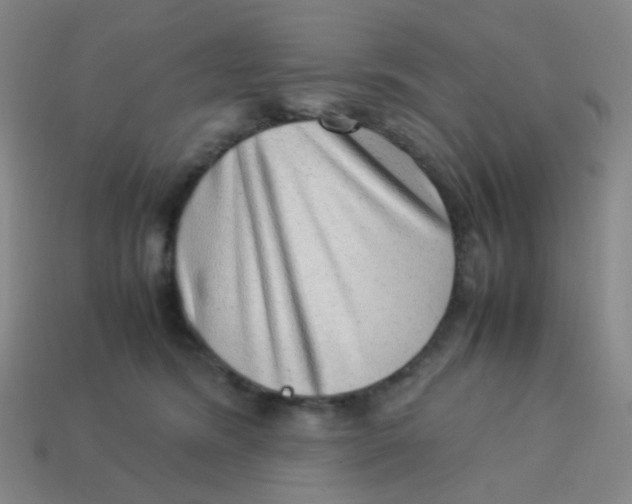 X0000113540420200910091247