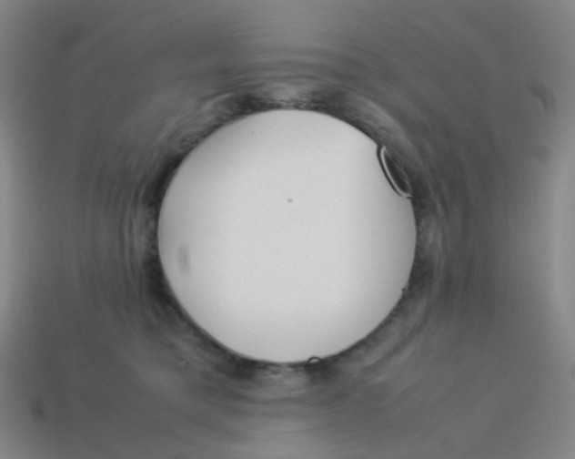 X0000113540421200910091247