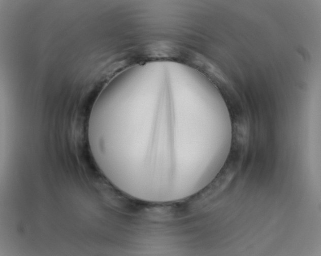 X0000113540422200910091247