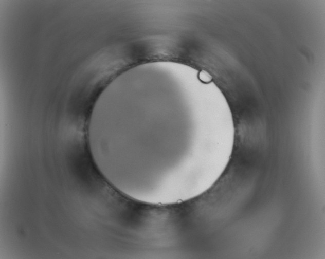 X0000113540423200910091247