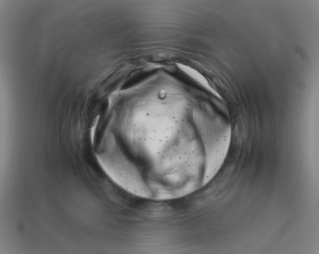 X0000113540424200910091247