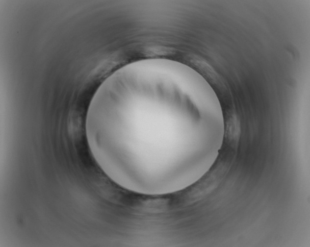 X0000113540426200910091247
