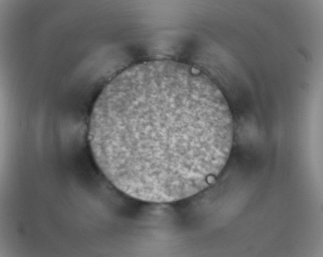 X0000113540427200910091247