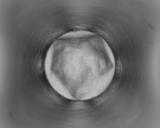 X0000113540428200910091247