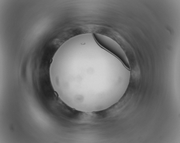 X0000113540429200910091247
