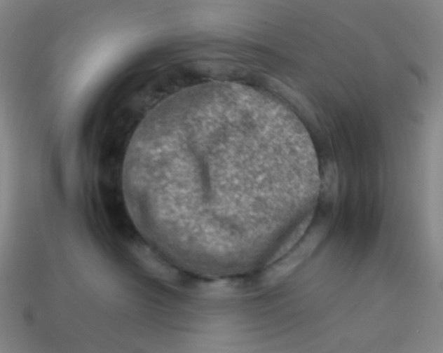 X0000113540430200910091247