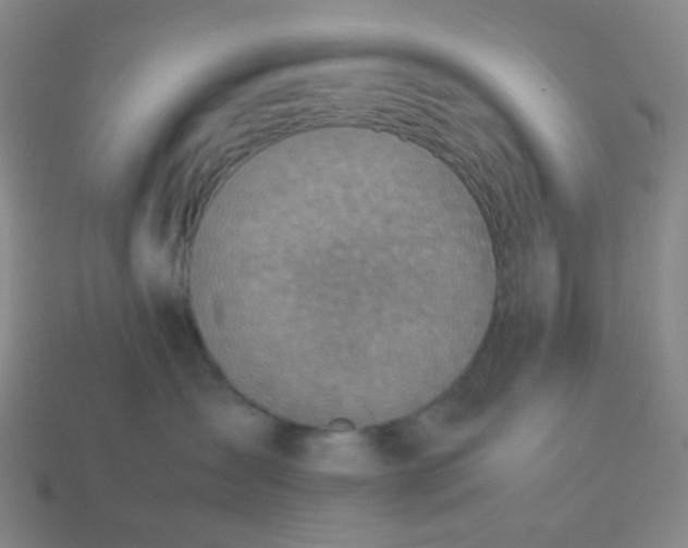 X0000113540431200910091247