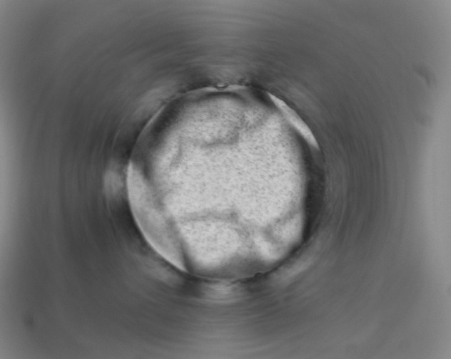X0000113540432200910091247