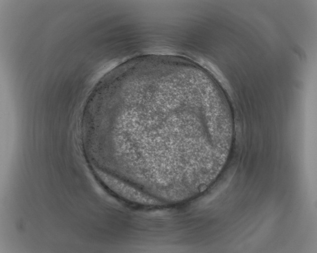 X0000113540433200910091246