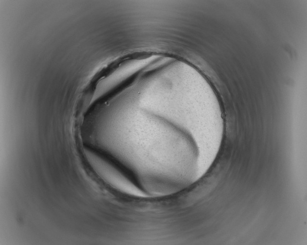 X0000113540434200910091246