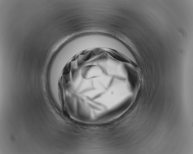 X0000113540436200910091246