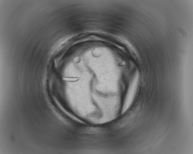 X0000113540437200910091246