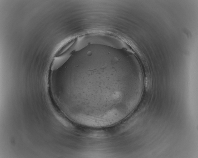 X0000113540438200910091246