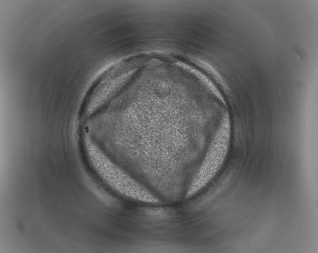 X0000113540439200910091246