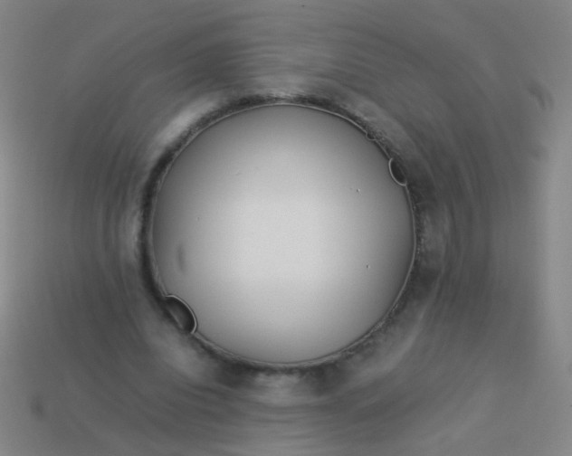 X0000113540440200910091246