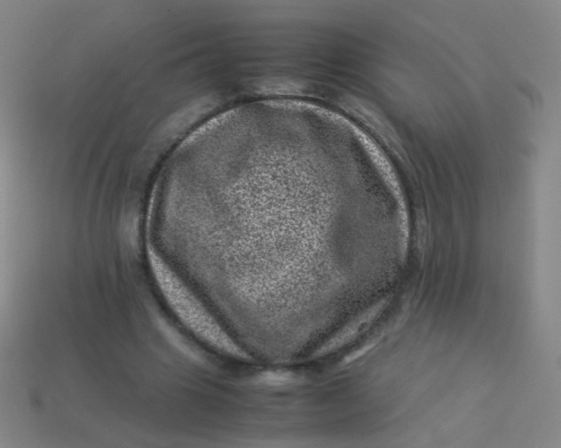X0000113540441200910091246