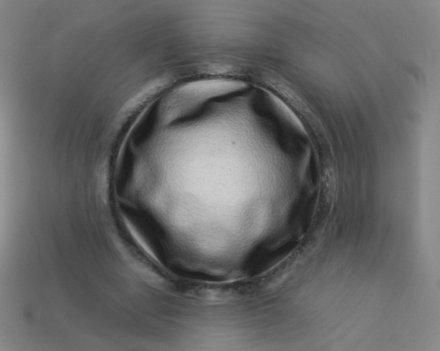 X0000113540442200910091246