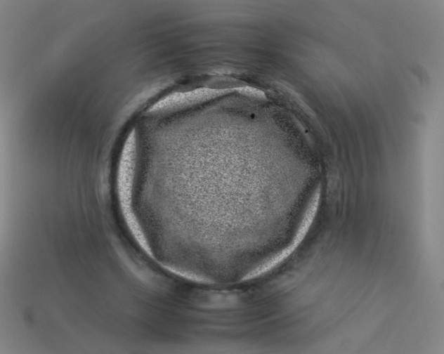 X0000113540443200910091246