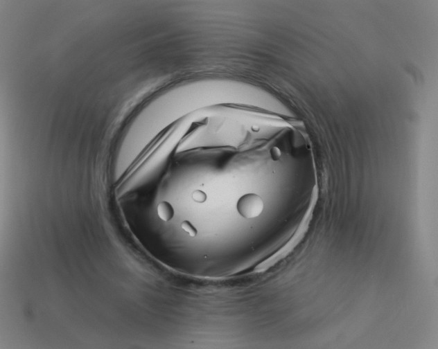 X0000113540444200910091246