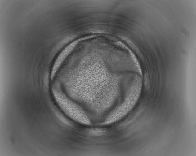 X0000113540445200910091246