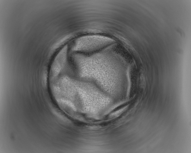 X0000113540446200910091246