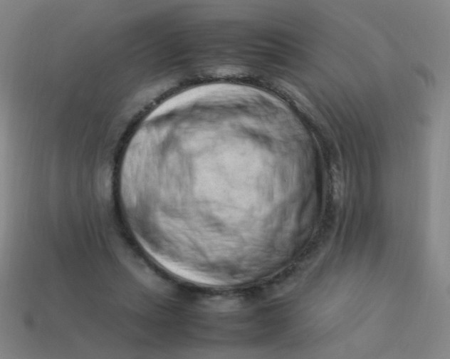 X0000113540447200910091246