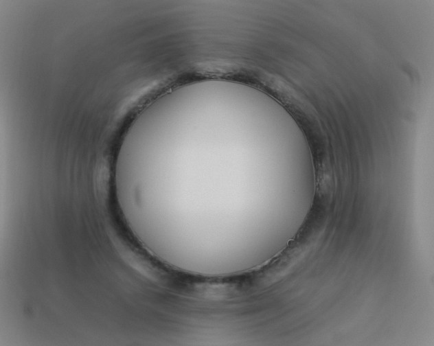 X0000113540448200910091246