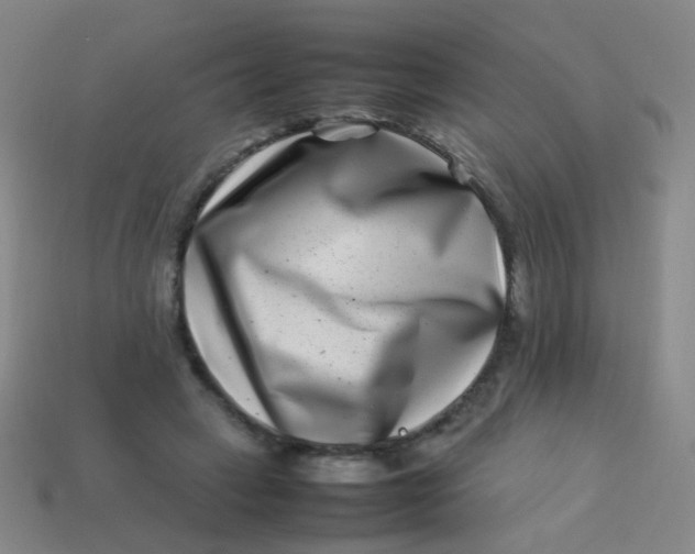 X0000113540449200910091246