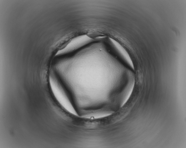 X0000113540450200910091246