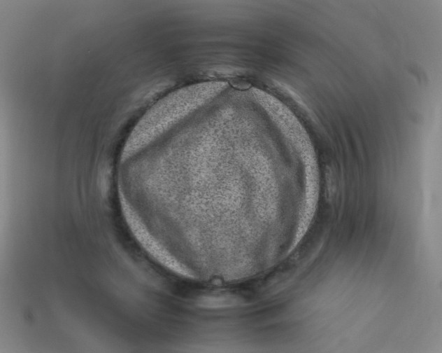 X0000113540451200910091246