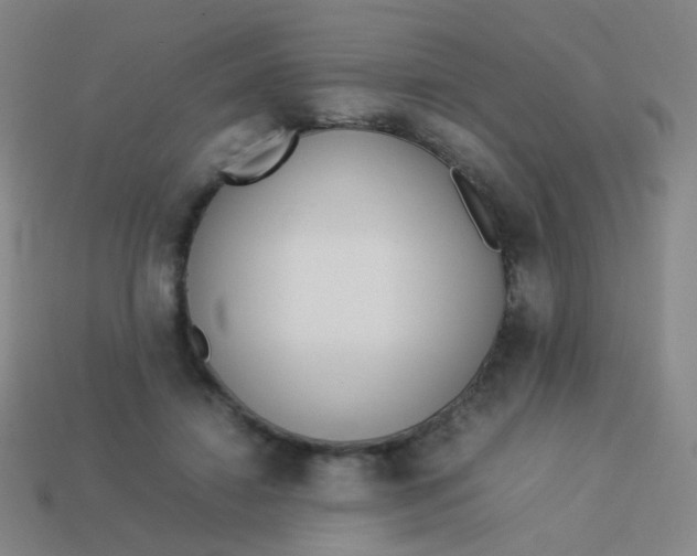 X0000113540452200910091246