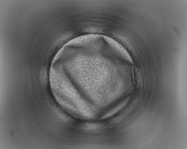 X0000113540453200910091246